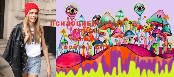 дурь Богородицк