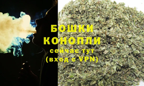 спиды Богородск