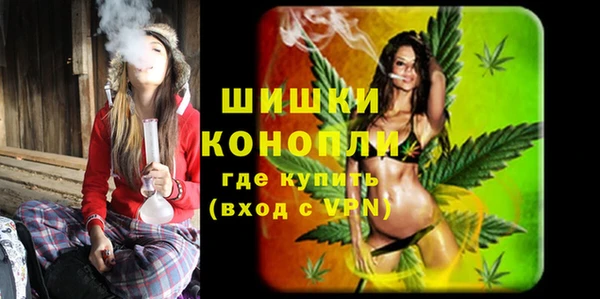 спиды Богородск